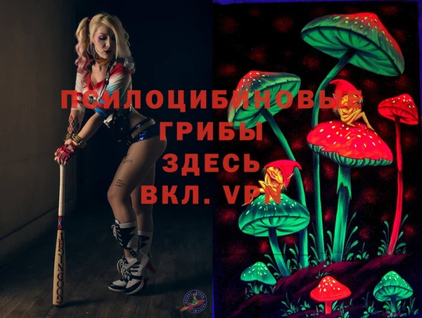PSILOCYBIN Балахна